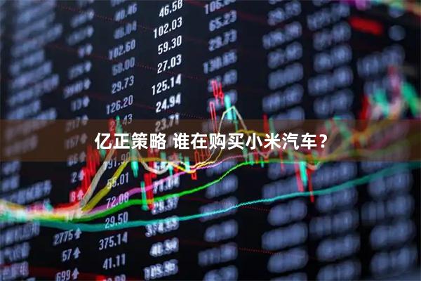 亿正策略 谁在购买小米汽车？