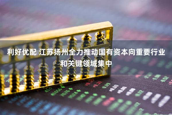 利好优配 江苏扬州全力推动国有资本向重要行业和关键领域集中