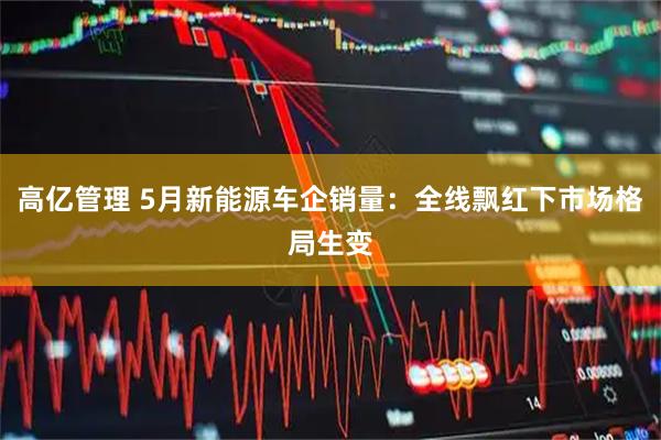 高亿管理 5月新能源车企销量：全线飘红下市场格局生变