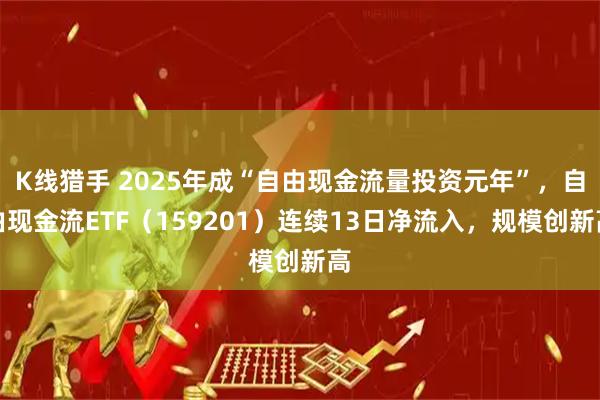 K线猎手 2025年成“自由现金流量投资元年”，自由现金流ETF（159201）连续13日净流入，规模创新高