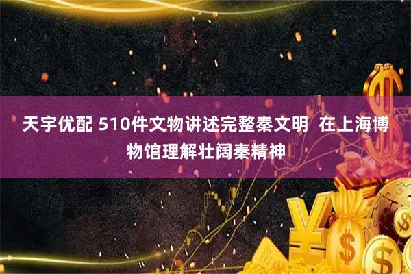 天宇优配 510件文物讲述完整秦文明  在上海博物馆理解壮阔秦精神